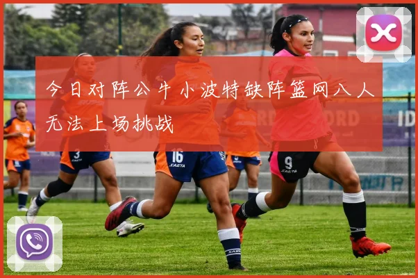 今日对阵公牛小波特缺阵篮网八人无法上场挑战