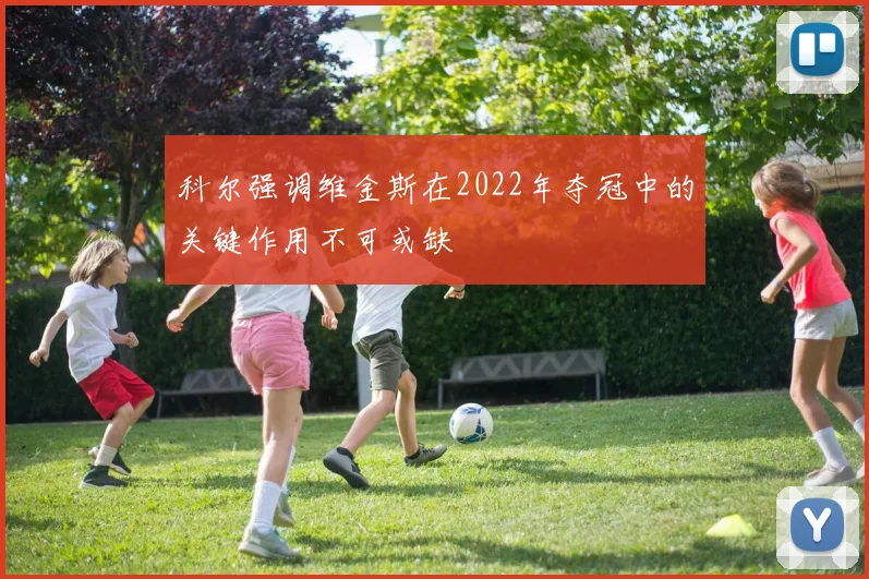 科尔强调维金斯在2022年夺冠中的关键作用不可或缺
