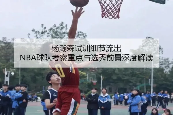 杨瀚森试训细节流出 NBA球队考察重点与选秀前景深度解读